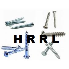 SS Polished Wood Screws Manufacturer